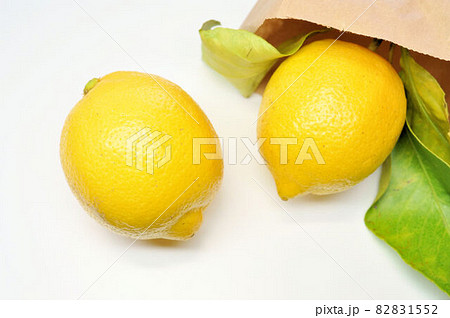 広島レモン 82831552