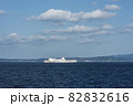 東京九州フェリー 82832616