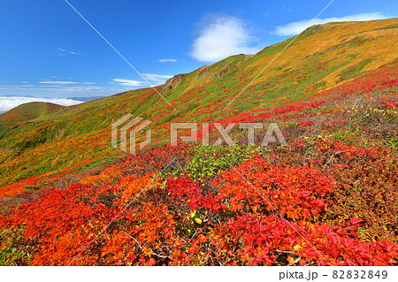 宮城県岩手県秋田県の三県にまたがる栗駒山 紅葉と青空 宮城県岩手県秋田県の三県にまたがる栗駒山 紅葉と青空 82832849
