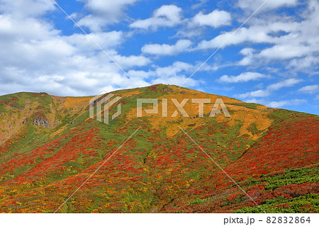 宮城県岩手県秋田県の三県にまたがる栗駒山 紅葉と青空 宮城県岩手県秋田県の三県にまたがる栗駒山 紅葉と青空 82832864