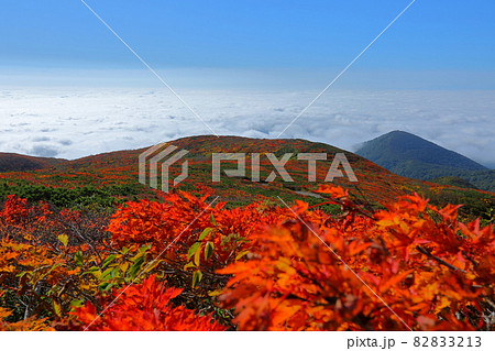 宮城県岩手県秋田県の三県にまたがる栗駒山 紅葉とふもとに広がる雲海 宮城県岩手県秋田県の三県にまたがる栗駒山 紅葉とふもとに広がる雲海 82833213