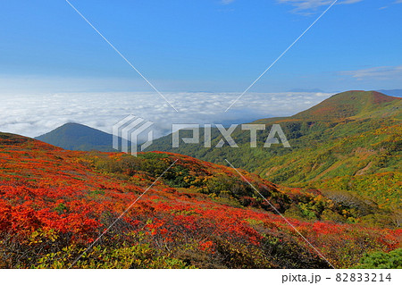 宮城県岩手県秋田県の三県にまたがる栗駒山 紅葉とふもとに広がる雲海 宮城県岩手県秋田県の三県にまたがる栗駒山 紅葉とふもとに広がる雲海 82833214