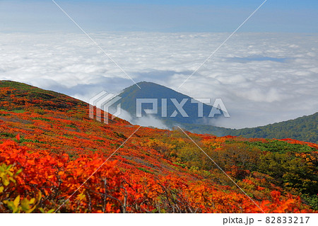 宮城県岩手県秋田県の三県にまたがる栗駒山　紅葉とふもとに広がる雲海 82833217
