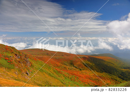 宮城県岩手県秋田県の三県にまたがる栗駒山　紅葉とふもとに広がる雲海 82833226