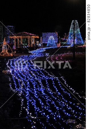 埼玉県深谷市 青淵公園イルミネーション 埼玉県深谷市 青淵公園イルミネーション 82834850