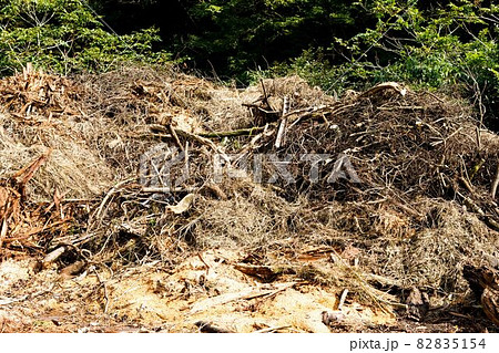 林業　材木置場 82835154