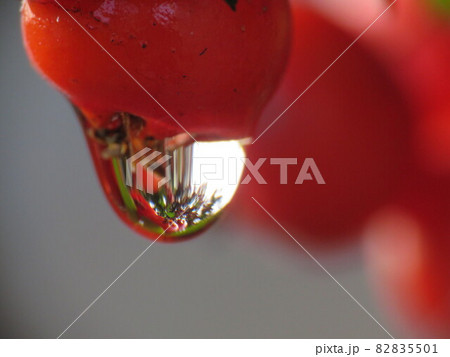 Drop of water 82835501