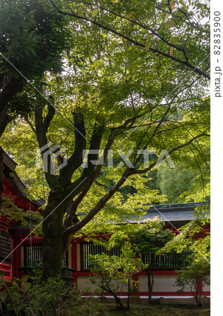 神社 回廊 82835900