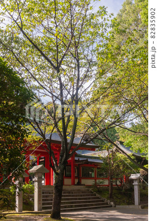 神社 回廊 82835902