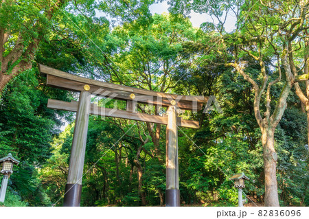 東京　明治神宮　一の鳥居 82836096