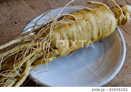 朝鮮人参（ちょうせんにんじん）6年物で精力絶倫 82836102