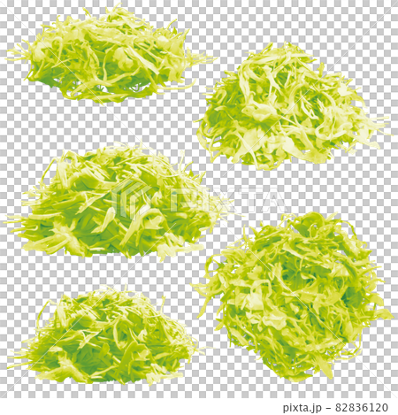 千切りキャベツセット（印刷しても綺麗） 82836120