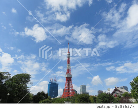 芝公園から見える東京タワー 芝公園から見える東京タワー 82836277