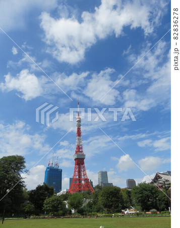 芝公園から見える東京タワー 芝公園から見える東京タワー 82836278
