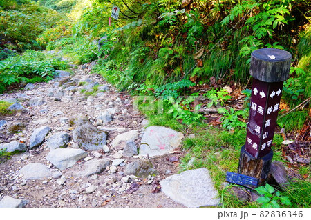 妙高山 四合目 分岐 妙高山 四合目 分岐 82836346