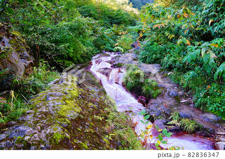妙高山 燕登山道 温泉成分で白い北地獄谷の流れ 妙高山 燕登山道 温泉成分で白い北地獄谷の流れ 82836347