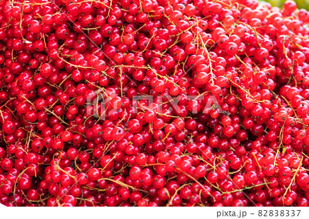 red currant as background 82838337