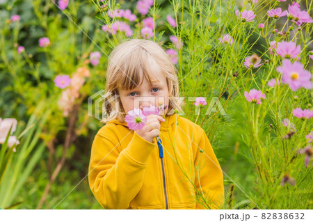 Boy enjoying pink flowers in the garden Boy enjoying pink flowers in the garden 82838632