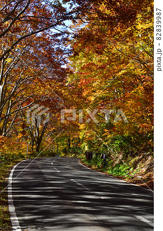 秋 国道102号 秋 国道102号 82839987