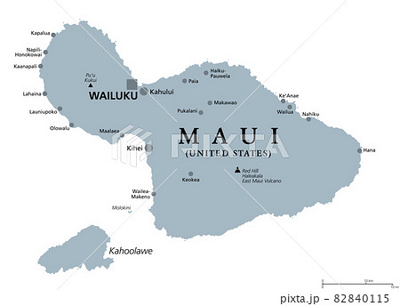 Maui Hawaii Gray Political Map With Capital のイラスト素材