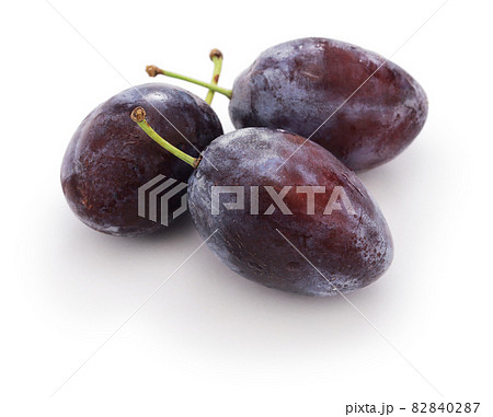 生プルーン 生プルーン 82840287