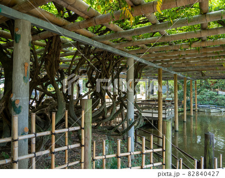 越谷駅周辺 82840427