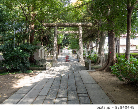 越谷駅周辺 越谷駅周辺 82840449