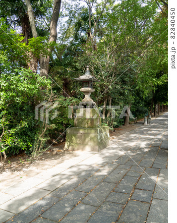 越谷駅周辺 82840450