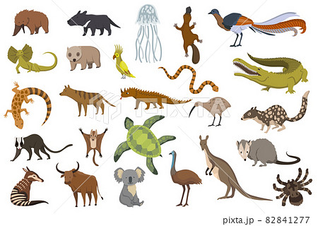 Animals of australia. Nature fauna collection. Geographical local fauna. Mammals living on continent. Vector illustration in kids style Animals of australia. Nature fauna collection. Geographical local fauna. Mammals living on continent. Vector illustration in kids style 82841277
