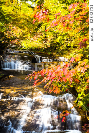 紅葉の渓谷 写真素材 82842751