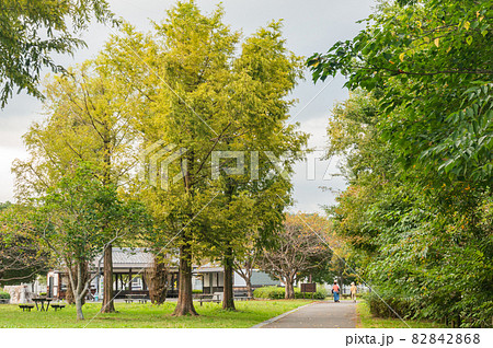 衣川湖岸緑地 82842868