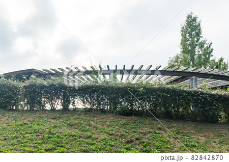 衣川湖岸緑地 82842870