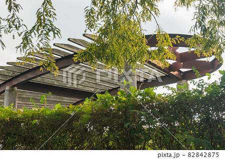 衣川湖岸緑地 82842875