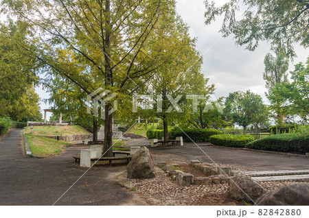 衣川湖岸緑地 82842880