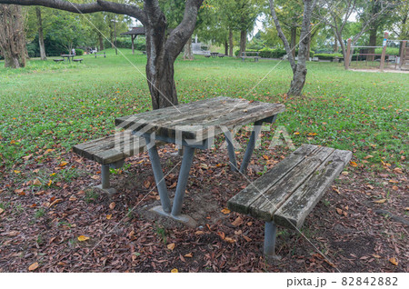 衣川湖岸緑地 82842882