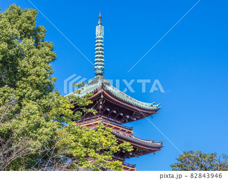 上野東照宮から見える旧寛永寺の五重塔 82843946