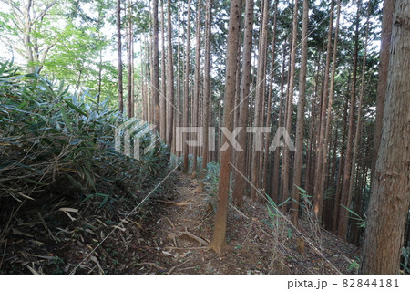 2021年10月3日、埼玉県飯能市の棒ノ折山の登山 2021年10月3日、埼玉県飯能市の棒ノ折山の登山 82844181