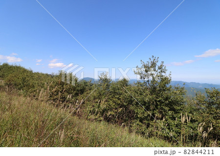 2021年10月3日、埼玉県飯能市の棒ノ折山の登山 2021年10月3日、埼玉県飯能市の棒ノ折山の登山 82844211