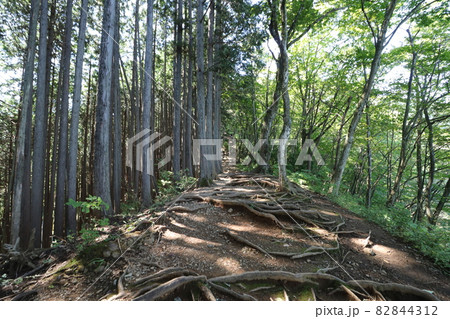 2021年10月3日、埼玉県飯能市の棒ノ折山の登山 82844312