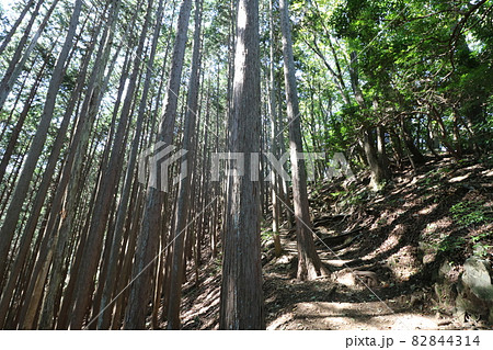 2021年10月3日、埼玉県飯能市の棒ノ折山の登山 82844314