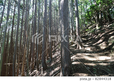 2021年10月3日、埼玉県飯能市の棒ノ折山の登山 82844318