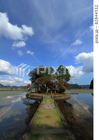 洲濱神社 鴨池リフレクション 洲濱神社 鴨池リフレクション 82844532