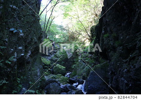 2021年10月3日、埼玉県飯能市の棒ノ折山の登山 82844704