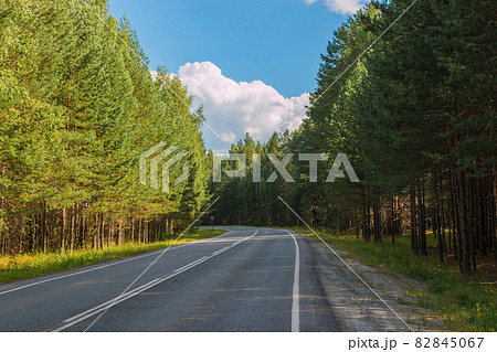 Road through green deep forest in Russia 82845067