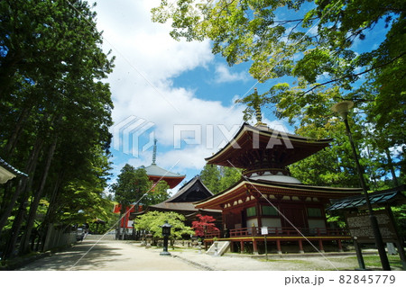 世界遺産高野山壇上伽藍の心安らぐ情景 世界遺産高野山壇上伽藍の心安らぐ情景 82845779