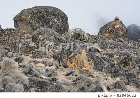 キリマンジャロ登山 キリマンジャロ登山 82846622