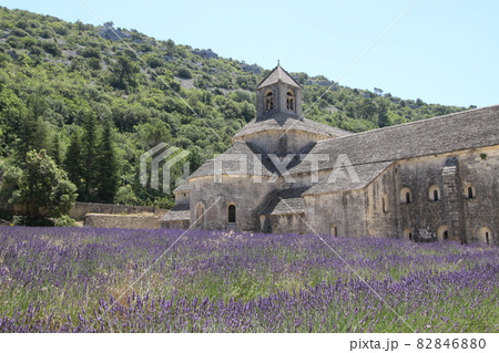 南仏プロバンス セナンク修道院ラベンダー 南仏プロバンス セナンク修道院ラベンダー 82846880