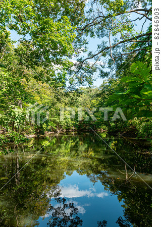 大沼国定公園＿リフレクション＿大沼湖畔　 82846903