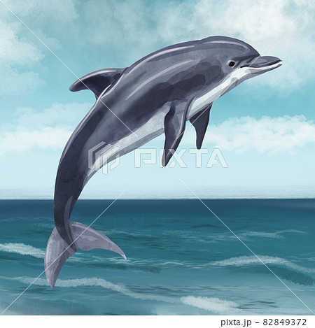 dolphin jumping out of water drawing