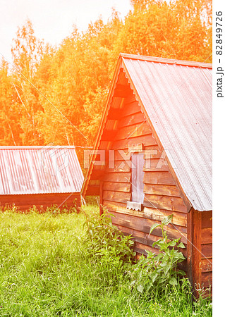 Wood house in forest. Local travel concept. Sustainable lifestyle. Summer  82849726